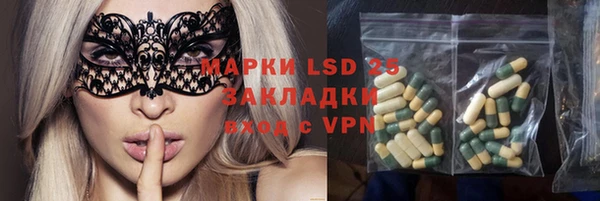 ПСИЛОЦИБИНОВЫЕ ГРИБЫ Нея