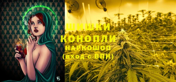 ПСИЛОЦИБИНОВЫЕ ГРИБЫ Нея