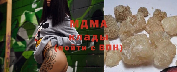 индика Надым