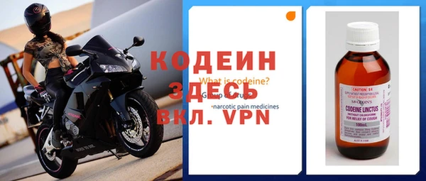 индика Надым