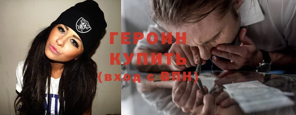 индика Надым