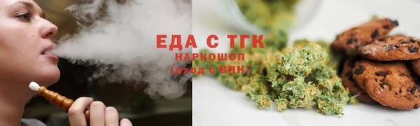 индика Надым
