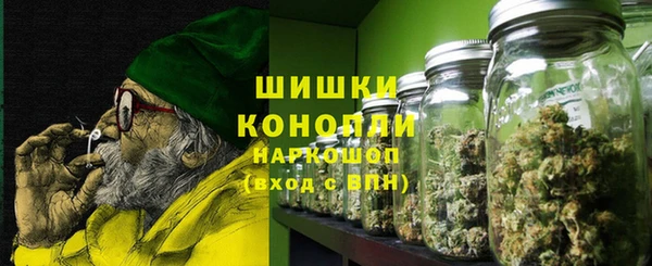 ПСИЛОЦИБИНОВЫЕ ГРИБЫ Нея