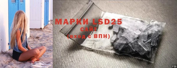 ПСИЛОЦИБИНОВЫЕ ГРИБЫ Нея