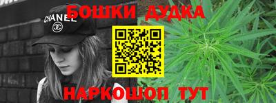 индика Балахна