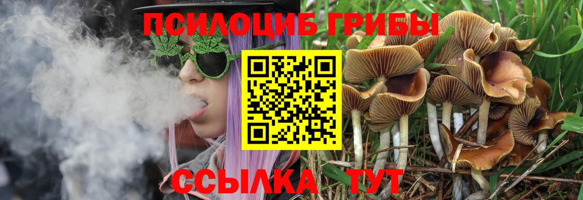 наркота  Галлюциногенные грибы мицелий  Псилоцибиновые грибы ЛСД  Вход с VPN  Мичуринск 